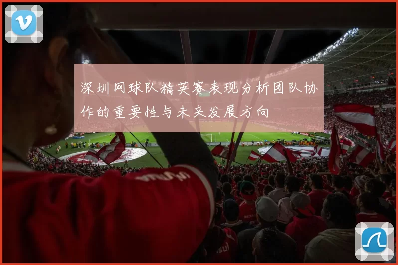 深圳网球队精英赛表现分析团队协作的重要性与未来发展方向