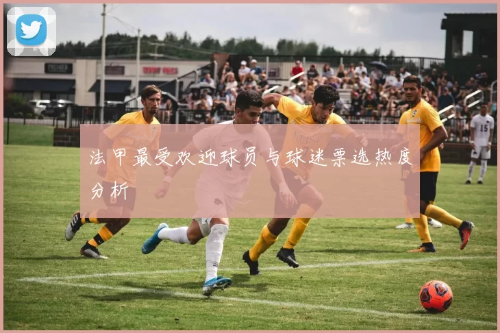 法甲最受欢迎球员与球迷票选热度分析