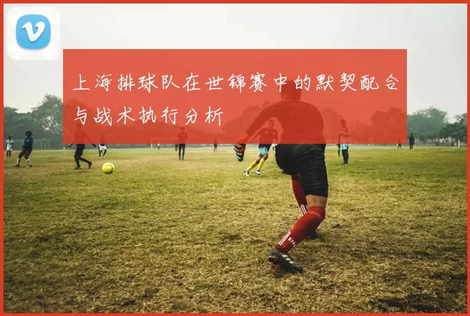 上海排球队在世锦赛中的默契配合与战术执行分析