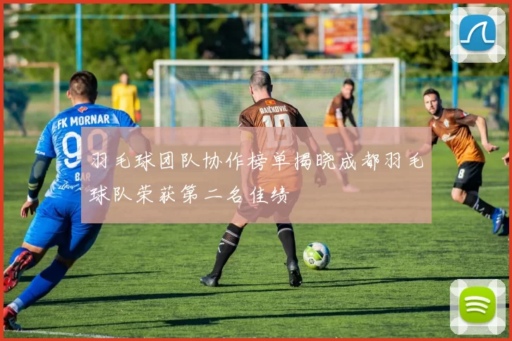 羽毛球团队协作榜单揭晓成都羽毛球队荣获第二名佳绩
