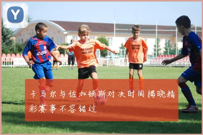 卡马尔与佐加顿斯对决时间揭晓精彩赛事不容错过
