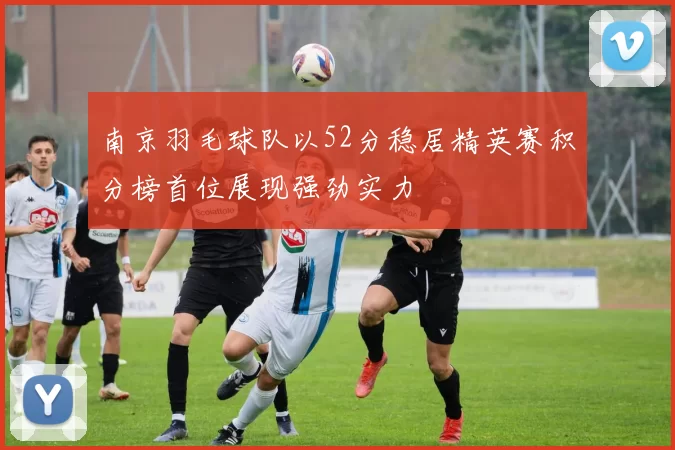 南京羽毛球队以52分稳居精英赛积分榜首位展现强劲实力