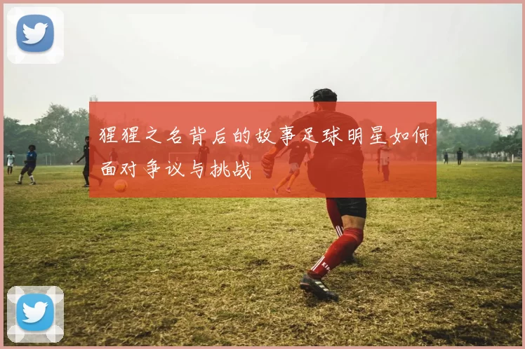猩猩之名背后的故事足球明星如何面对争议与挑战