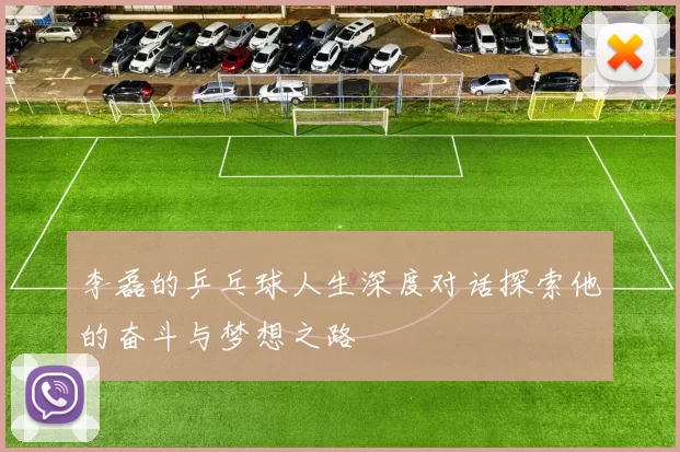 李磊的乒乓球人生深度对话探索他的奋斗与梦想之路